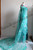 Frozen Fever Elsa Floral Embroidery Spring Dress