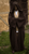 Luke Skywalker Robe