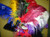 Ostrich Feathers