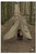 Regulus Cape