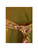 Princess Isabella Dress