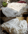 Tiered Ruffle Bloomer Shorts