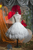 Rhombus Patterned Tulle Underskirt