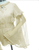 Transparent Long Sleeve Chemise Top