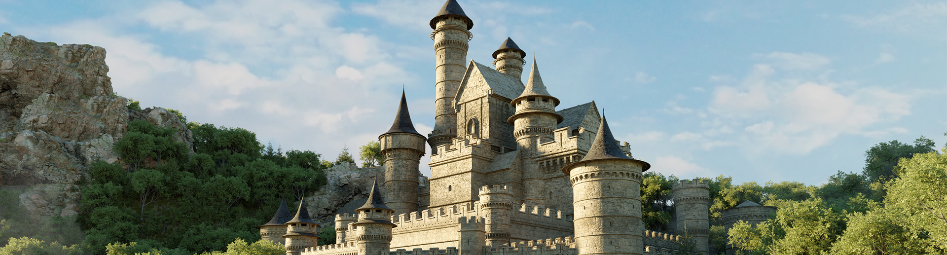 castle banner image 