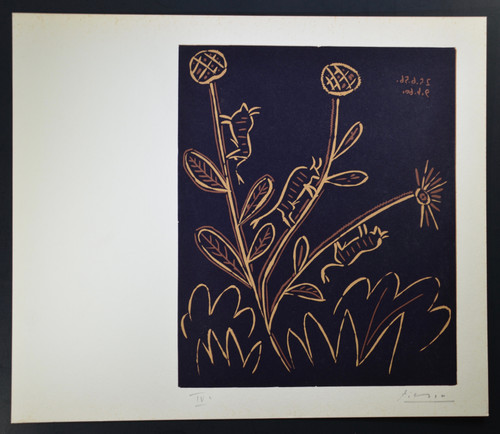 Pablo Picasso, Hand signed Linocut “Plannte aux Toritos” (Bloch 948), 1962