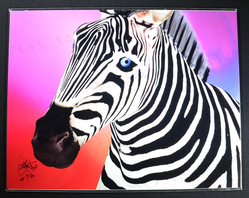 Alan Foxx, “Zebra Zest”, Limited Edition Artist Proof 8.5 x 11 inch Print.  Hand Signed by Foxx and Numbered 17/80.  With COA.