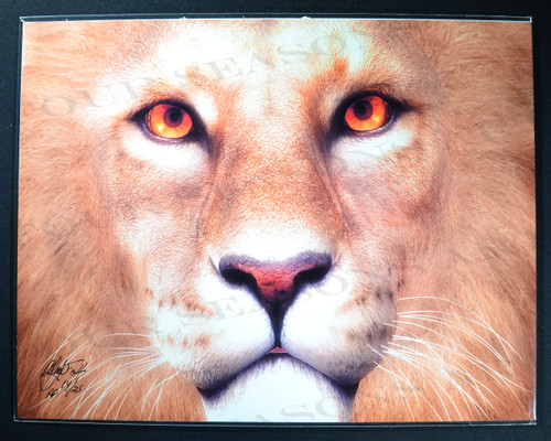 Alan Foxx, “Lion Stare”, Limited Edition Artist Proof 8.5 x 11 inch Print.  Hand Signed by Foxx and Numbered 14/25.  With COA.