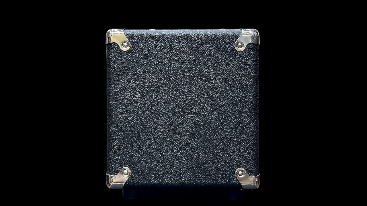 Two-Rock TS1 100w Head in Black with Silver Chassis and Knobs