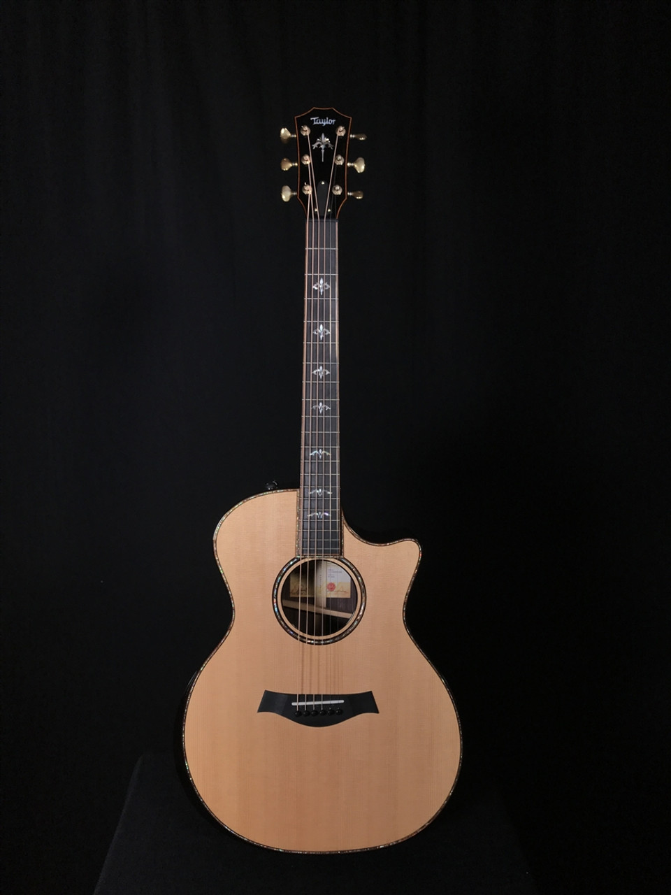 Taylor 914CE Rosewood Grand Auditorium with V-Class Bracing
