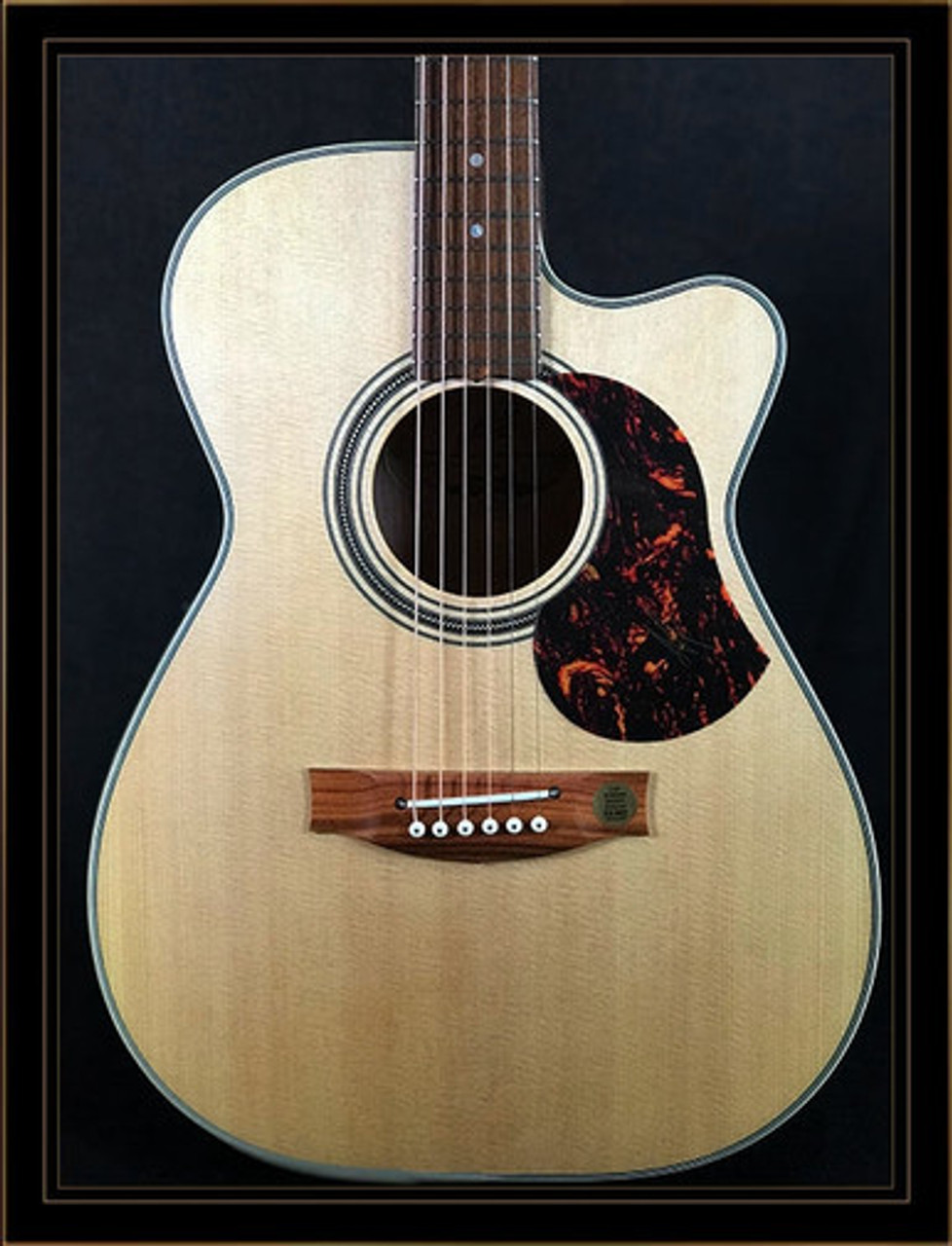 The Guitar Sanctuary | Maton Guitars | EBG808TEC | Tommy