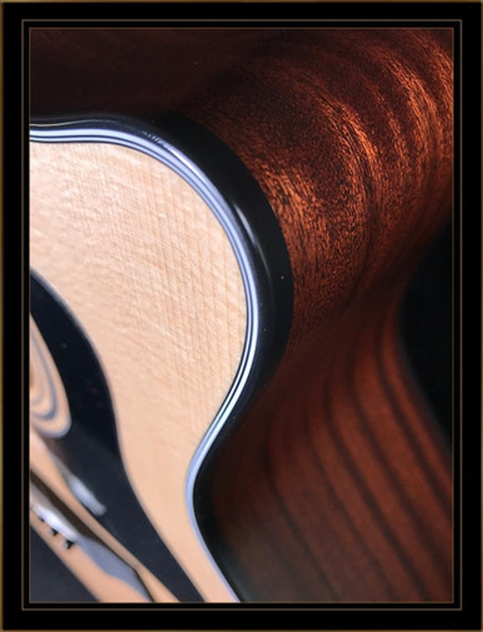 Taylor 314CE Grand Auditorium with V-Class Bracing