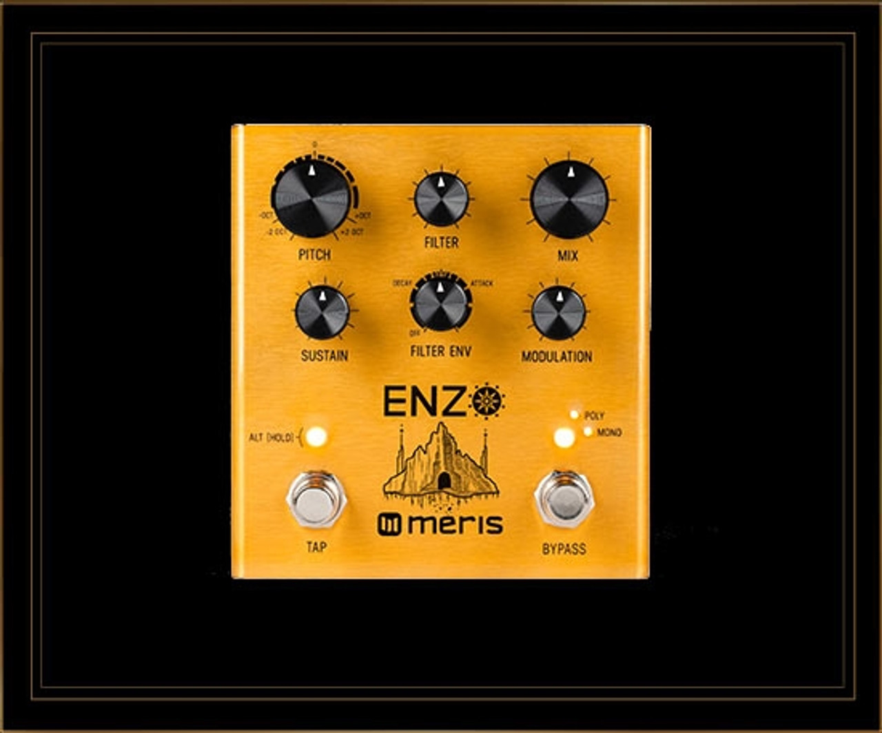 Meris Enzo Multi-Voice Instrument Synthesizer Pedal