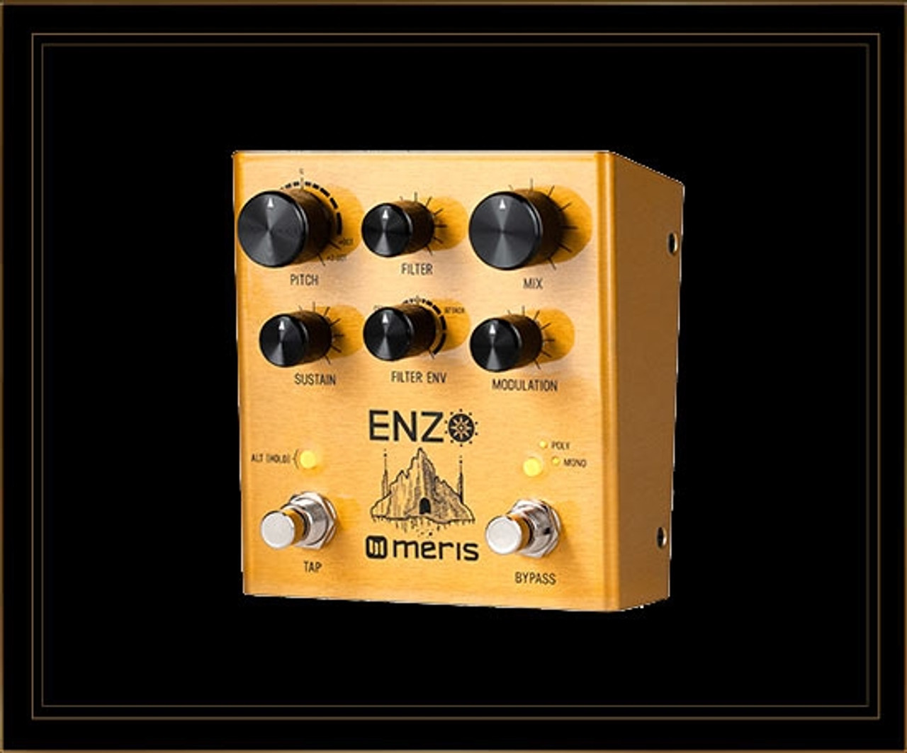 Meris Enzo Multi-Voice Instrument Synthesizer Pedal