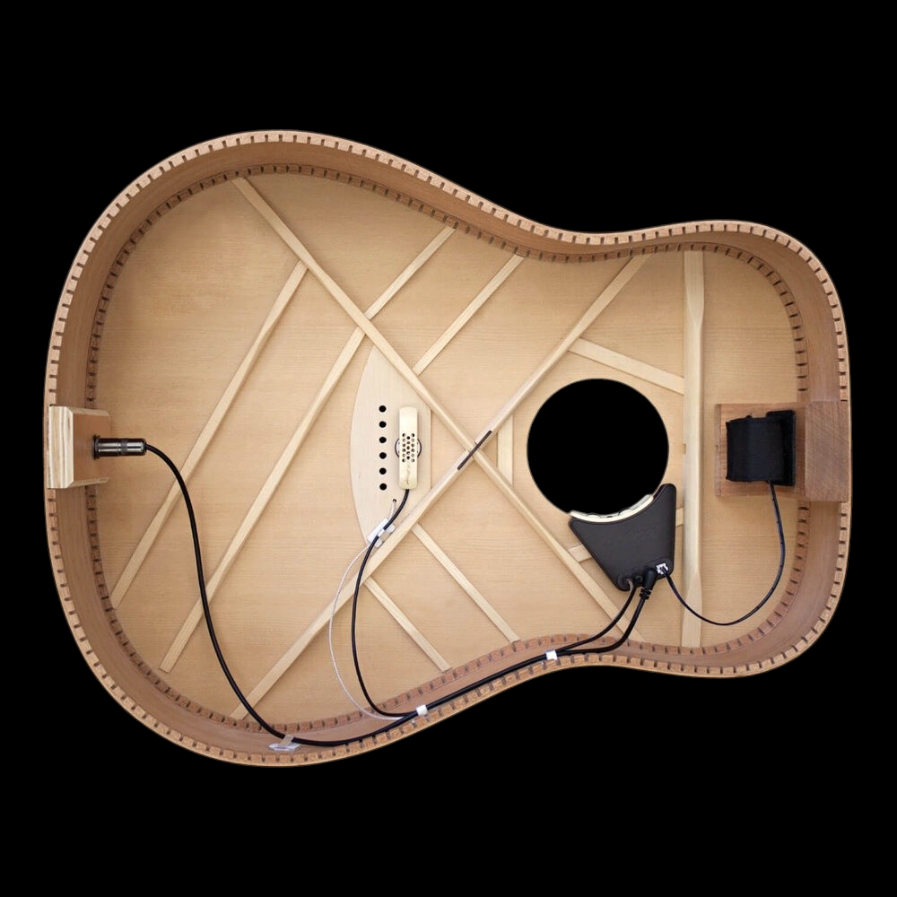 LR Baggs Anthem Acoustic Guitar Pickup and Microphone