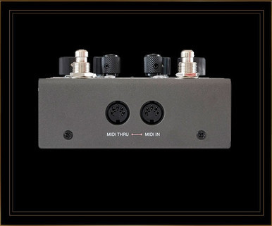 The Guitar Sanctuary | GFI System | Synesthesia | Dual Engine