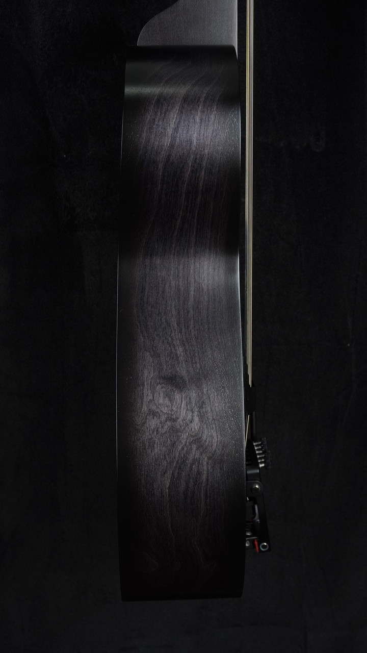 The Guitar Sanctuary | Beard Guitars | Josh Swift | Standard