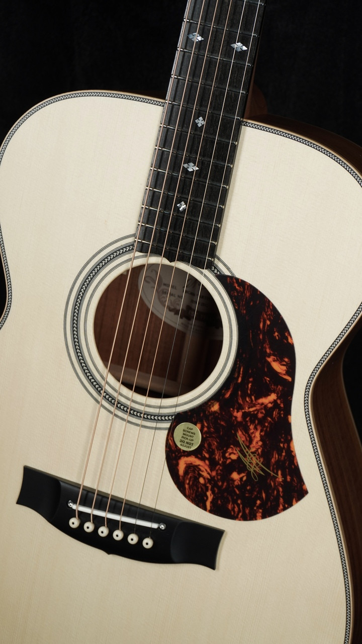 The Guitar Sanctuary | Maton Guitars | EBG808 Artist