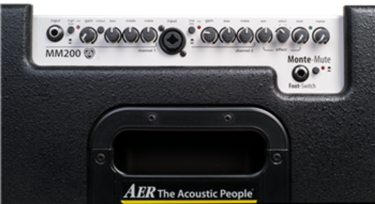 AER MM200 Monte Montgomery Signature Acoustic Amp