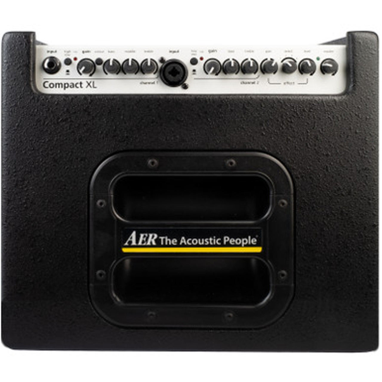 AER Compact XL Acoustic Guitar Combo