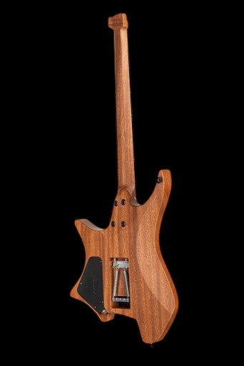 Strandberg Boden Prog NX 6 Plini Edition