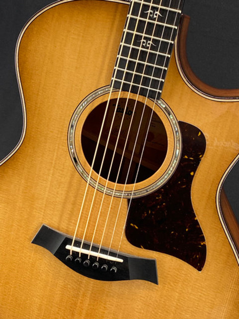 Taylor 514ce Urban Ironbark Grand Auditorium