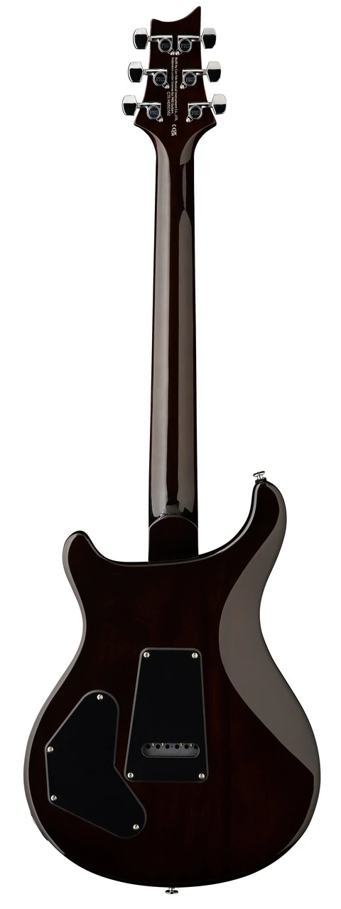 PRS SE DGT David Grissom Signature Model in McCarty Tobacco Sunburst with Bird Inlays
