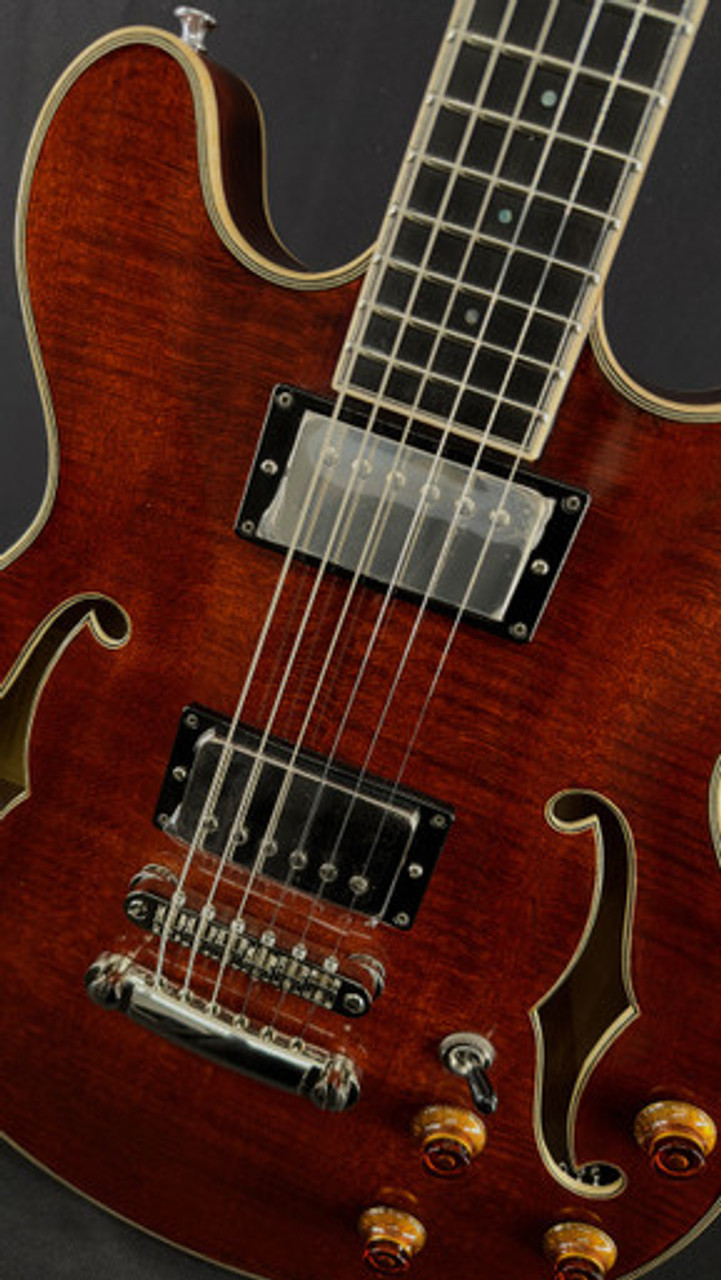 Eastman T184MX Thinline in the Classic Finish.