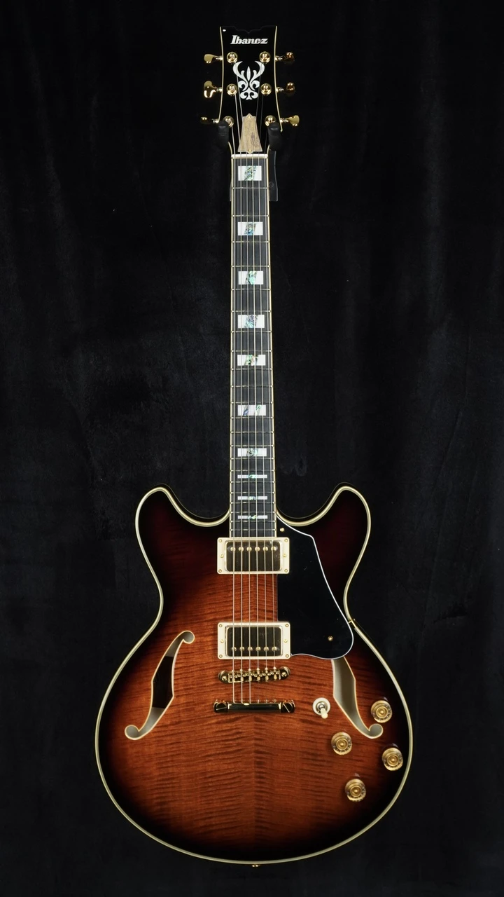 Ibanez John Scofield Signature JSM100 - Vintage Sunburst - Front Whole