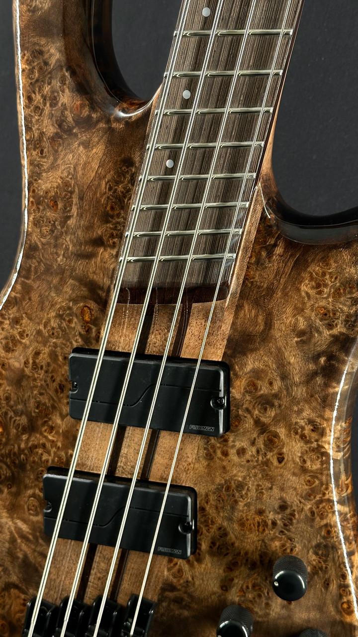 Spector NS Dimension Multiscale 4-String Bass in Super Faded Black Gloss