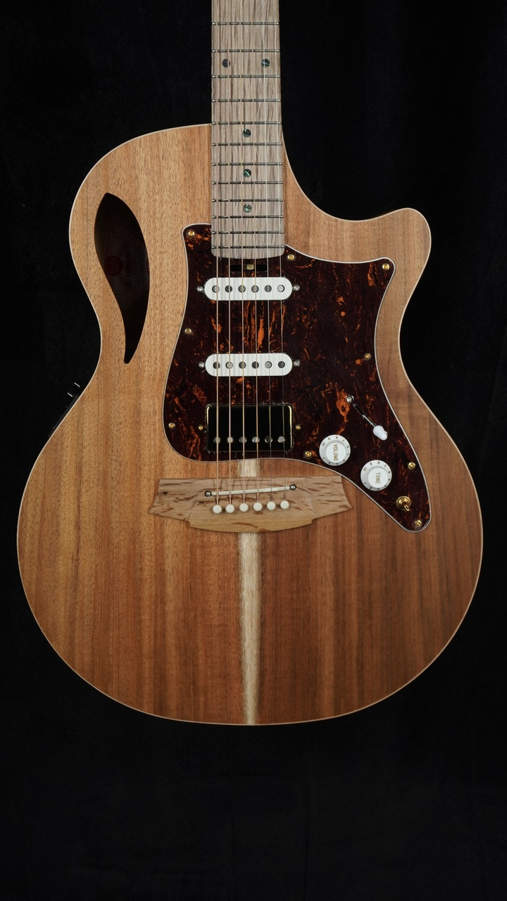 The Guitar Sanctuary | Cole Clark | True Hybrid | All Blackwood