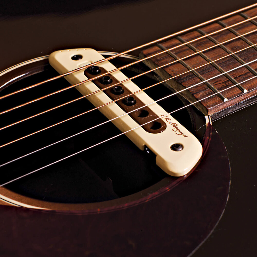 The Guitar Sanctuary | LR Baggs | M80 | Soundhole Pickup