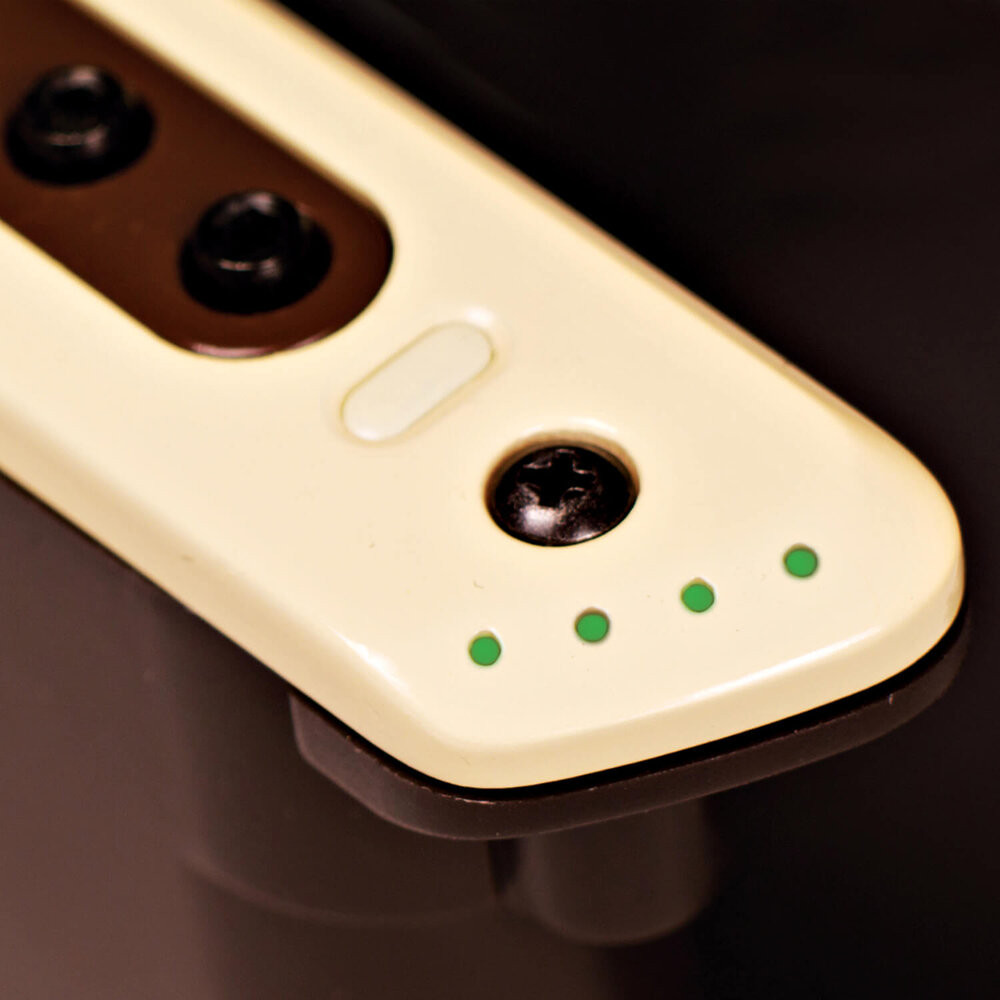 The Guitar Sanctuary | LR Baggs | M80 | Soundhole Pickup
