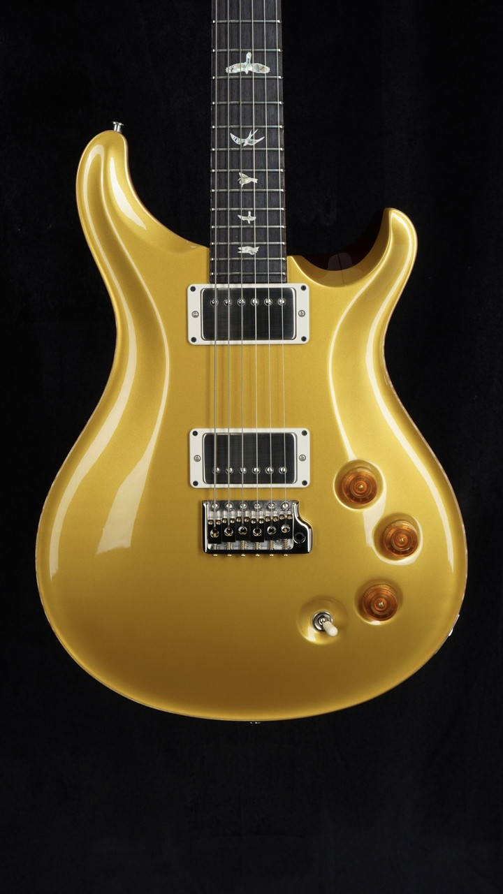 The Guitar Sanctuary | Paul Reed Smith | DGT | David Grissom Trem