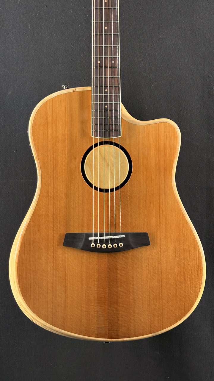 LR Baggs AEG-1 Acoustic Electric Guitar with Torrefied Sitka Spruce Top