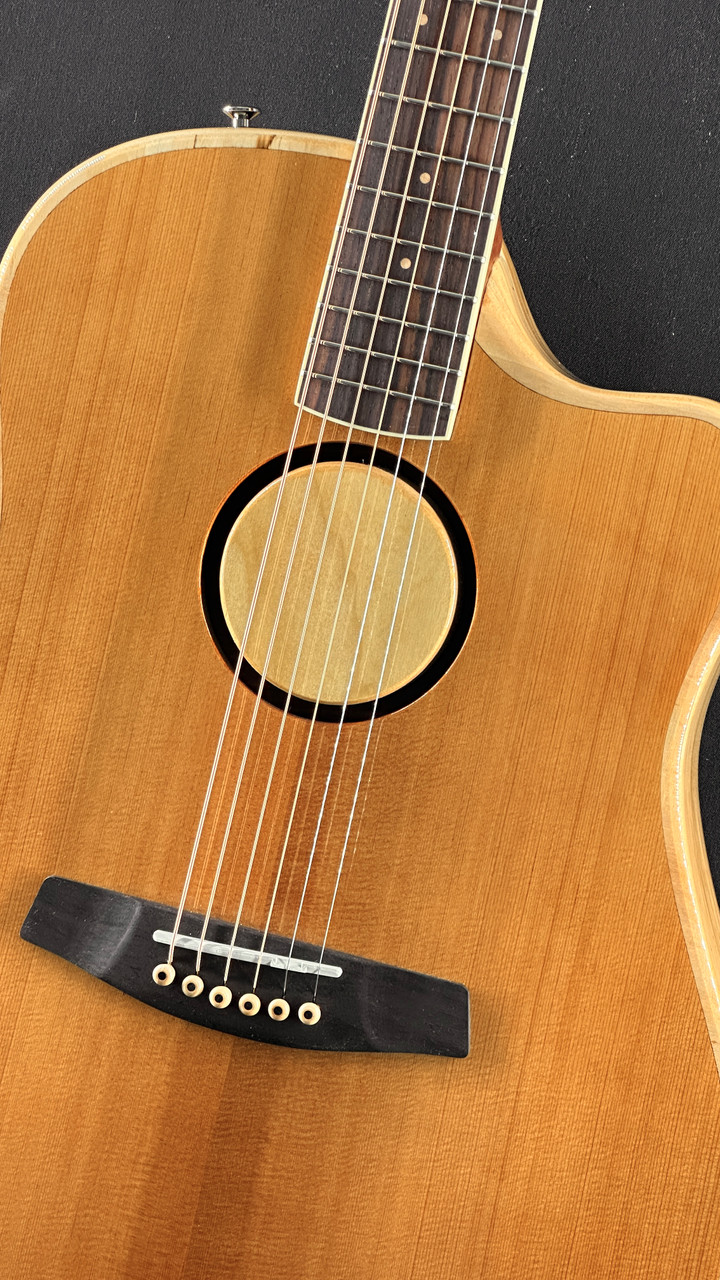 LR Baggs AEG-1 Acoustic Electric Guitar with Torrefied Sitka Spruce Top