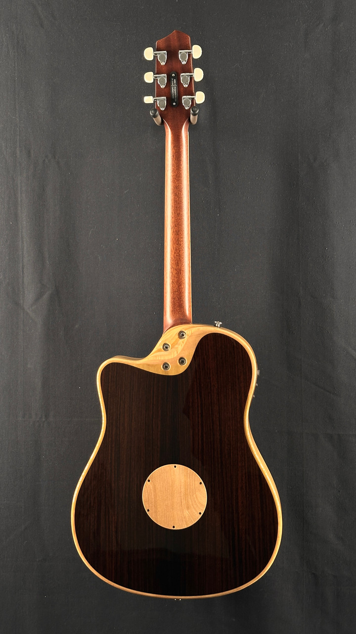 LR Baggs AEG-1 Acoustic Electric Guitar with Torrefied Sitka Spruce Top