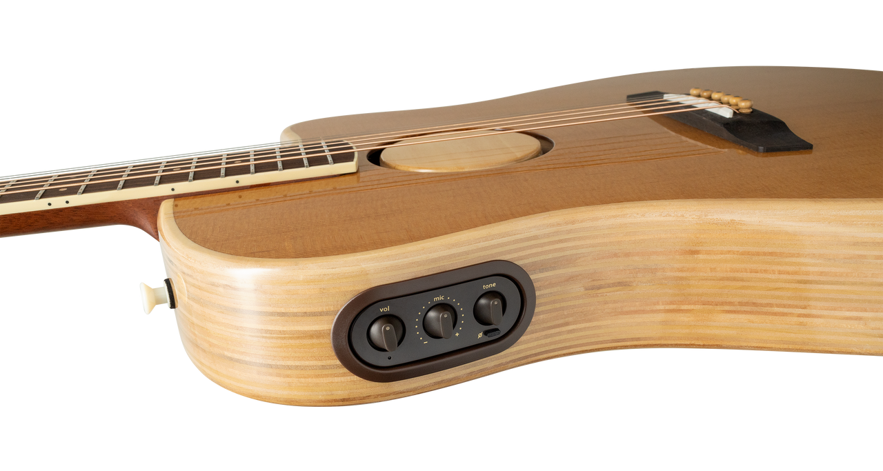 LR Baggs AEG-1 Acoustic Electric Guitar with Torrefied Sitka Spruce Top