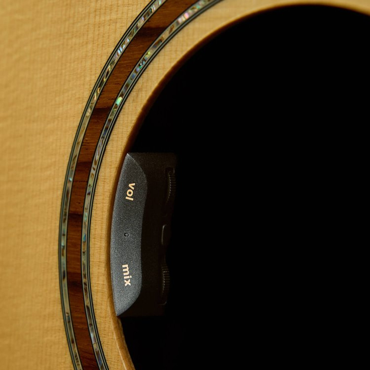 The Guitar Sanctuary | LR Baggs | HiFi Duet | High Fidelity