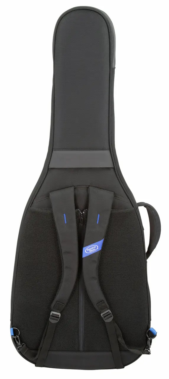 Reunion Blues Expedition Semi-Hollow Electric Guitar Case
