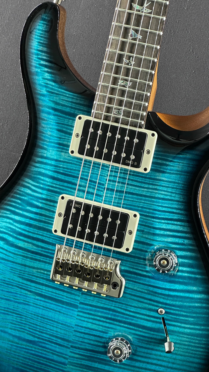 PRS 30th Anniversary SE Custom 24 Floyd With Mods - Used