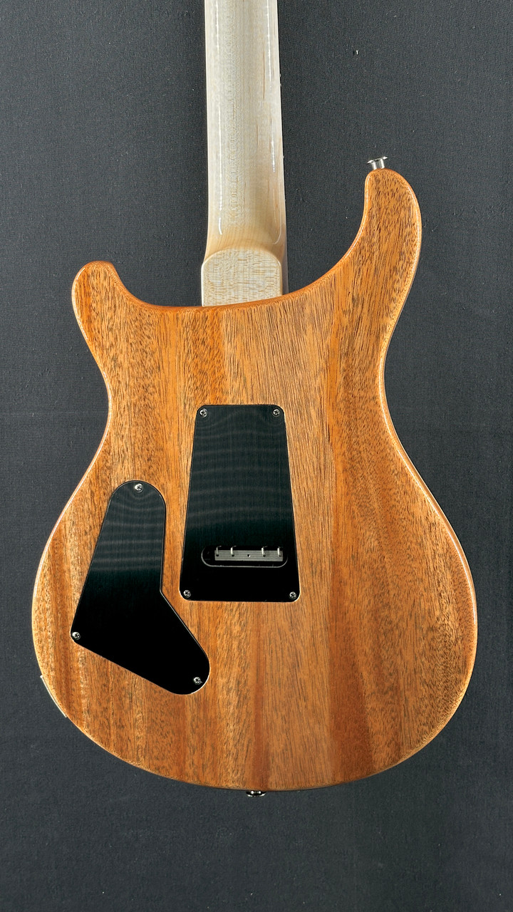 PRS Custom 24 Floyd with Black Top and Natural Back