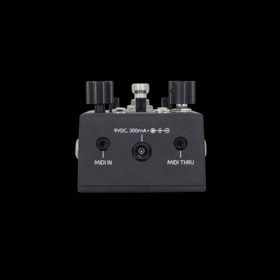 Walrus Audio Canvas Rehearsal