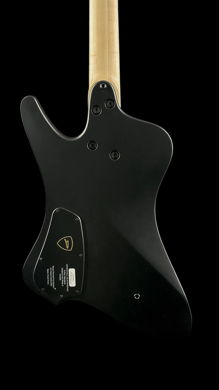 Dingwall D-Roc Standard 5-String Bass in Matte Metallic Black - Back Close