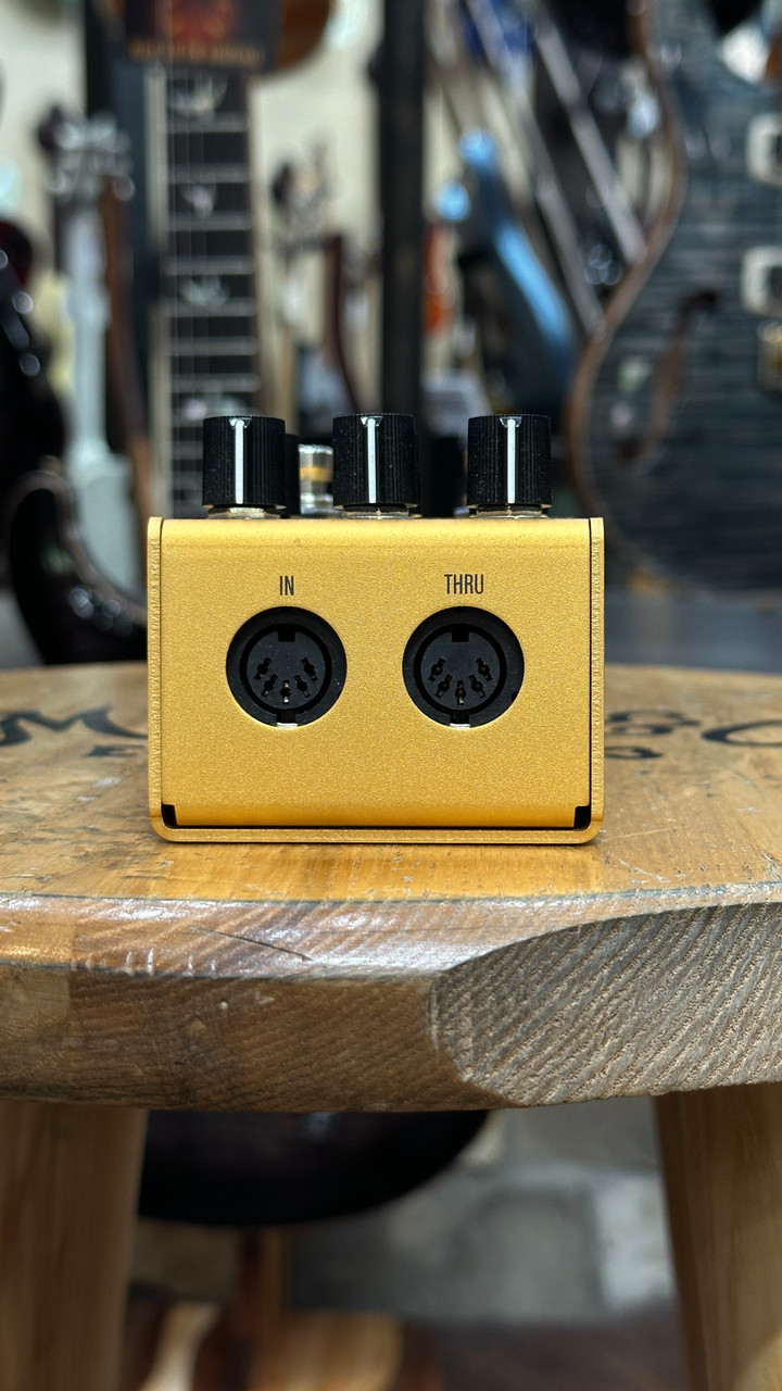 Demo Walrus Audio MAKO Series ACS1 Amp + Cab Simulator