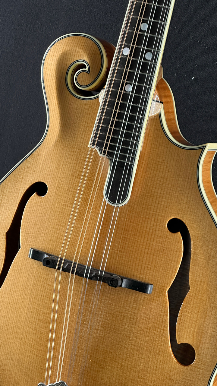 The Guitar Sanctuary | Bourgeois | M5-F | F-Style Mandolin