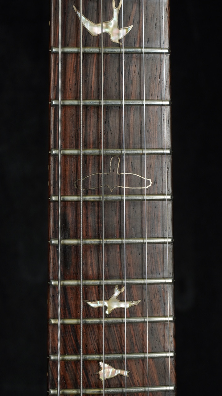 Preowned Paul Reed Smith Private Stock Custom 25 in Electric Tiger Preowned Paul Reed Smith Private Stock Custom 25 in Electric Tiger