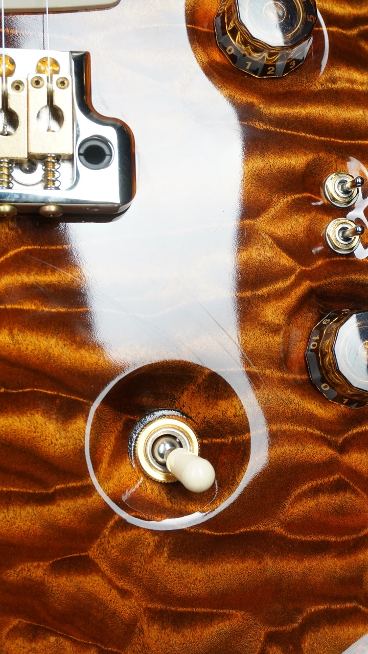 Preowned Paul Reed Smith Limited Edition Private Stock Paul's Guitar - Violin - Scratch Near Selector