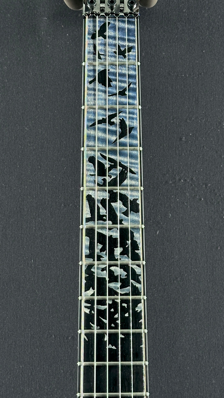 PRS Private Stock Custom 24 Floyd in Indigo Glow