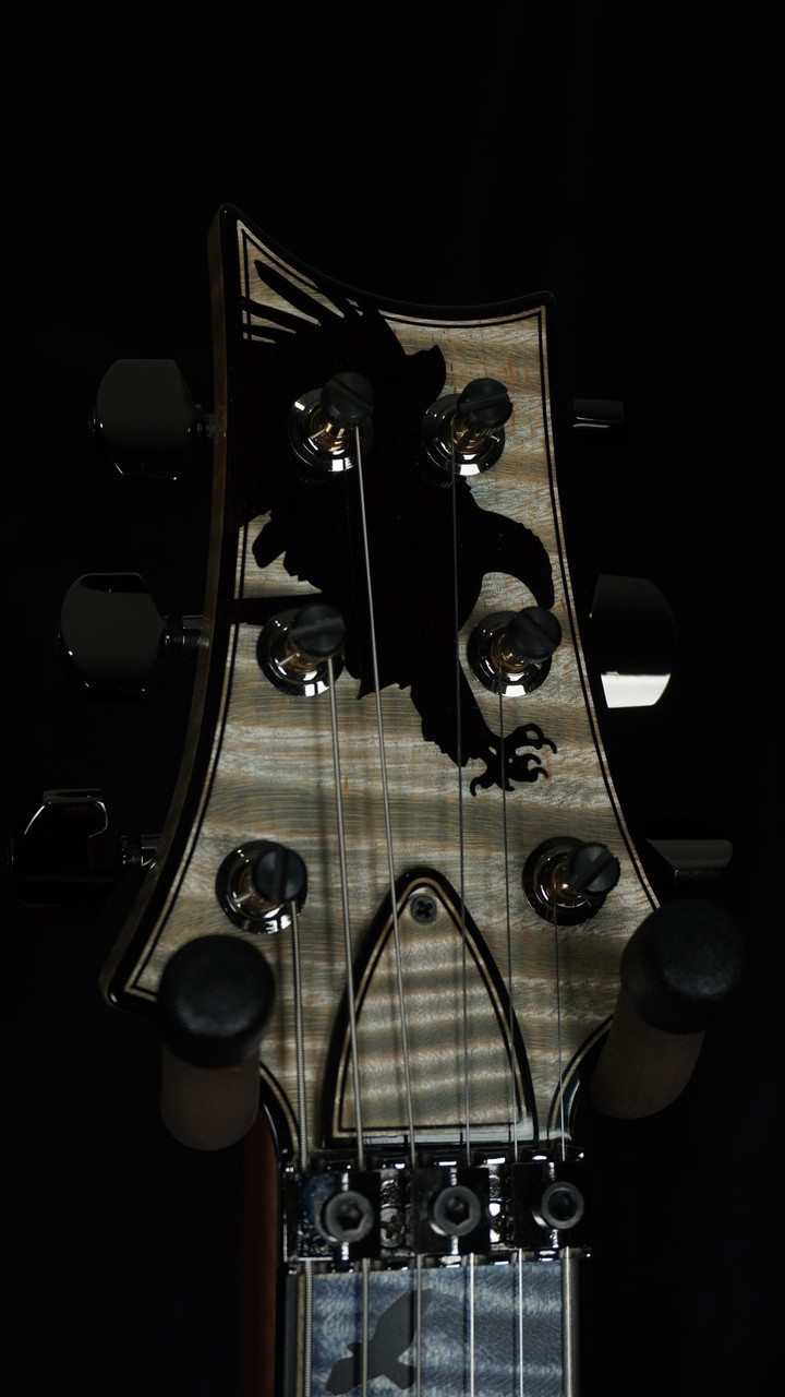 PRS Private Stock #11927 Custom 24 Floyd in Indigo Glow